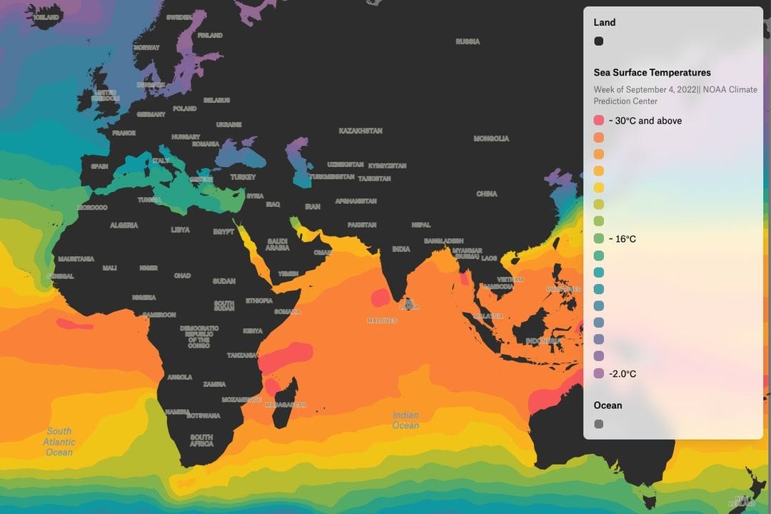 12 Free Data Visualization Tools To Take Your Science Communication to the Next Level