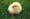 The science marketing chicken-and-egg problem: How to do more when you don’t have the resources?