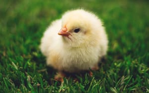 The science marketing chicken-and-egg problem: How to do more when you don’t have the resources?